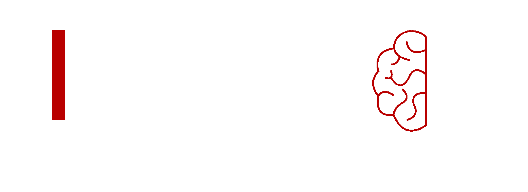 INNOVIO Solutions